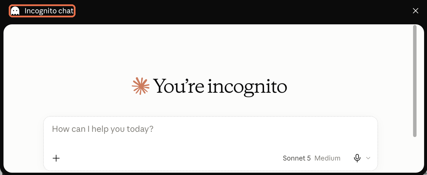 Чёрное окно Incognito chat с надписью You're incognito и пустым полем ввода